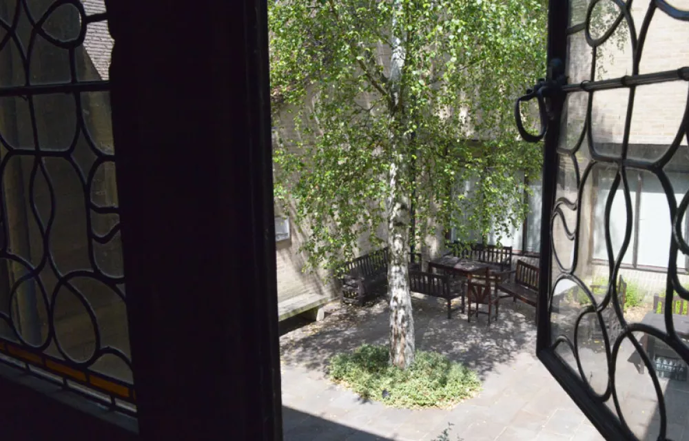 View out of an open leaded window onto a silver birch tree in the courtyard at ODID