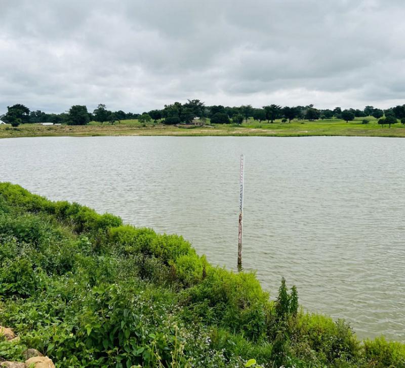 A body of water surrounded by greenery