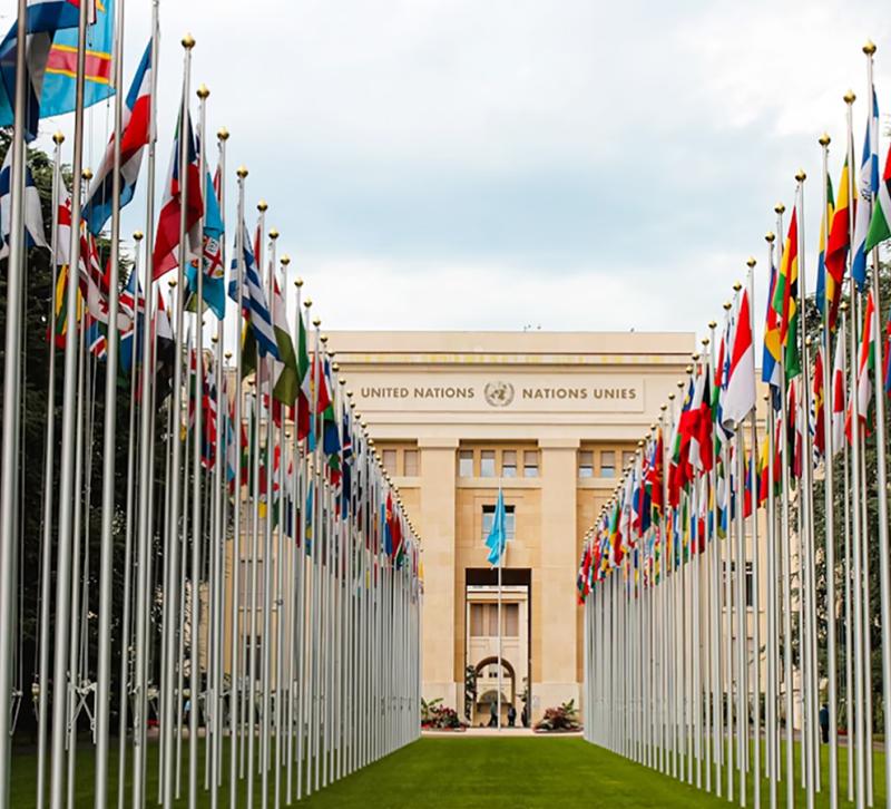 Line of flags at the UN