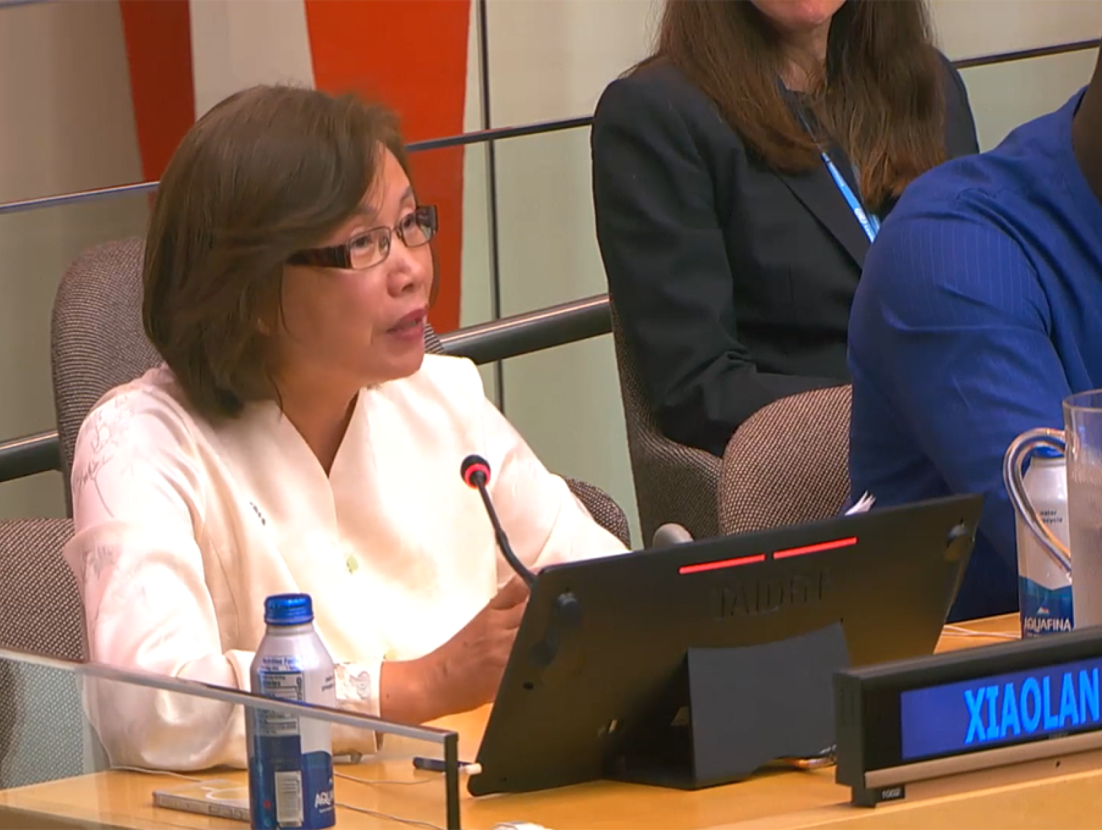 Xiaolan Fu speaks at the UN High Level Political Forum 