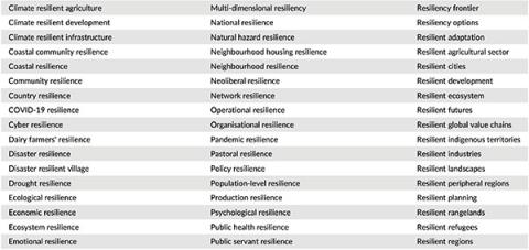 A table listing multiple uses of the word 'resilience'