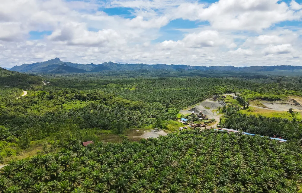 A large palm oil plantation and a stone quarry at the foot of the Sangkulirang-Mangkalihat Karst range in East Kutai, Indonesia.