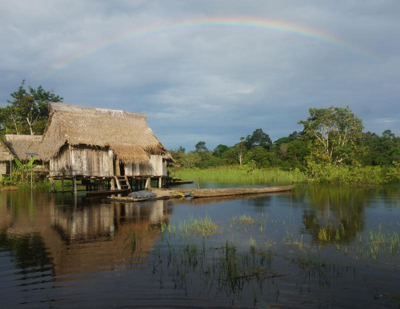 Dwellings on stilts above water in the Amazon