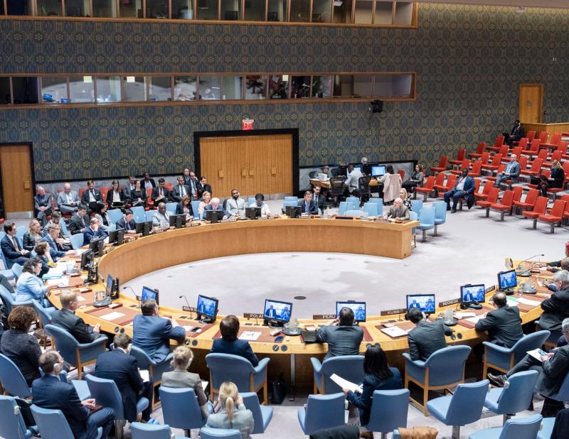 The UN Security Council