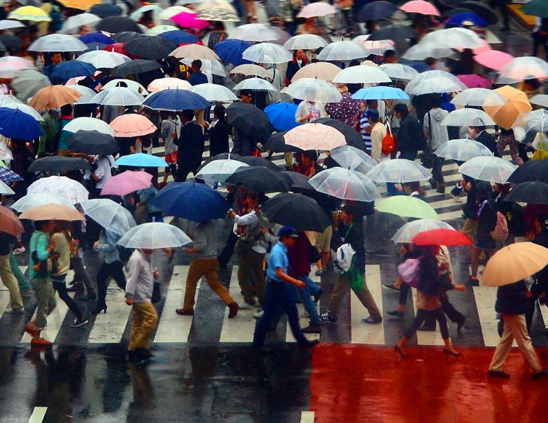 People walking across a crosswalk holding coloured umbrellas