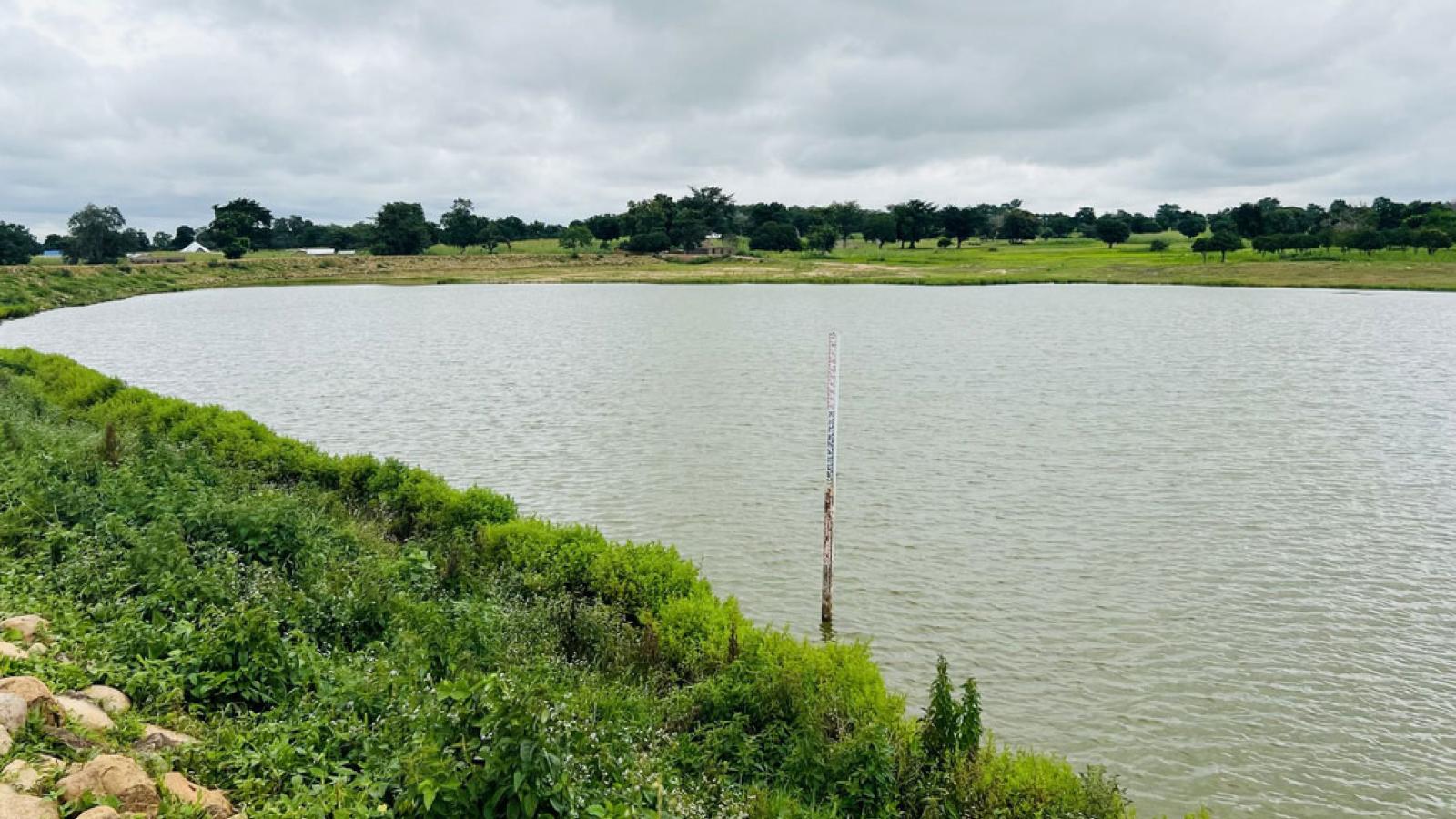 A body of water surrounded by greenery