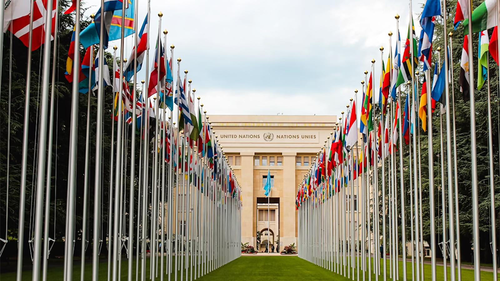 Line of flags at the UN